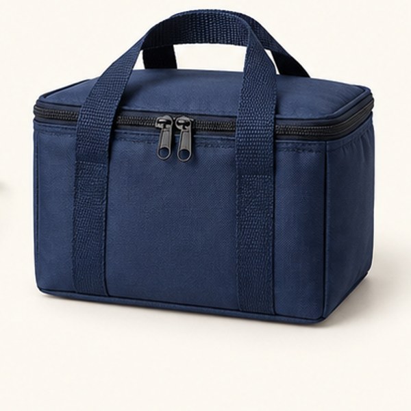 Lunch cooler bag